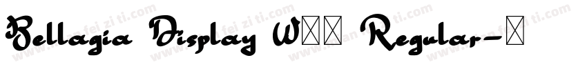 Bellagia Display W05 Regular字体转换